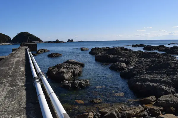 田原川河口の磯場