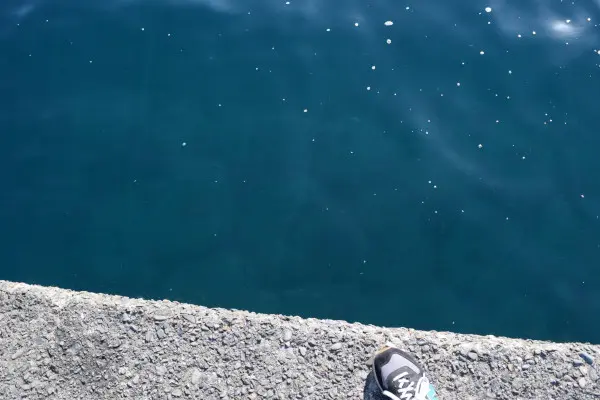 串本堤防足元