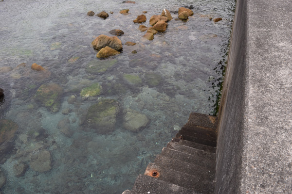 見老津漁港の浅場