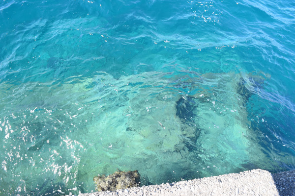 太地くじら浜公園堤防から海を見た写真