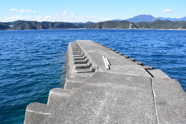 太地くじら浜公園堤防の上