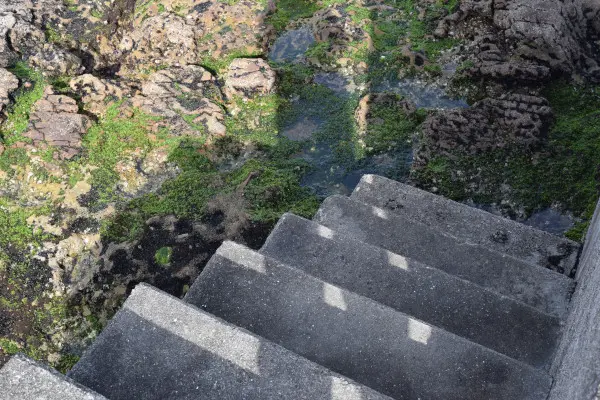 堤防の階段
