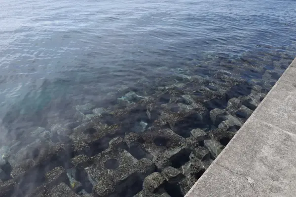 堤防のブロック