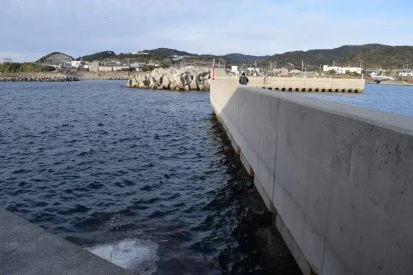 外側の堤防の枝分かれした堤防