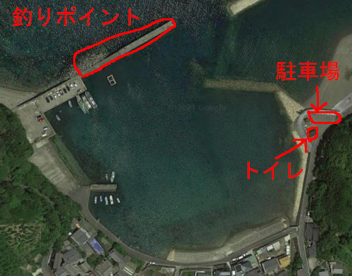 柏漁港の航空写真