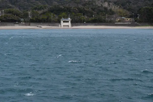 小浦漁港の北風