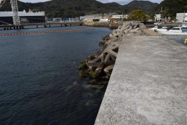 網代新波止の先端から根元