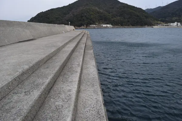 堤防内側