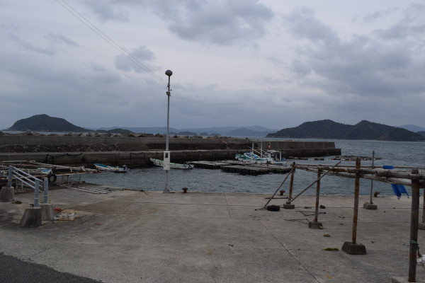 三尾川漁港全景