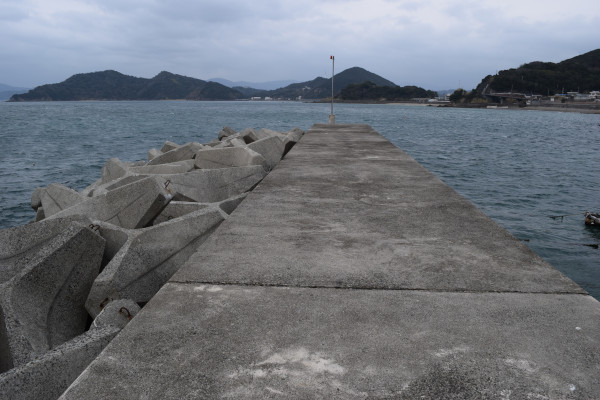 三尾川漁港堤防根元