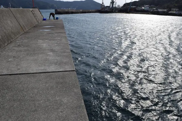 年金波止先端