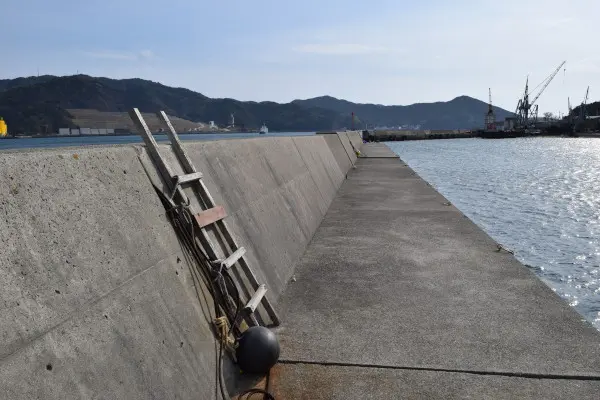 年金波止の写真