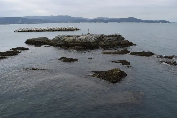 田ノ浦漁港の岩場