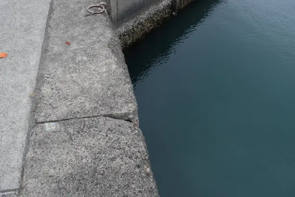 和歌浦漁港内側足元