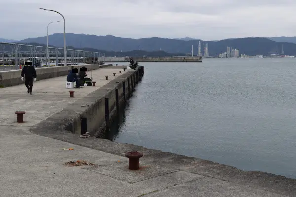 和歌浦漁港駐車場そばの釣り場