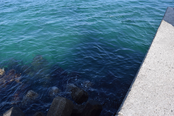 浅野漁港先端手前