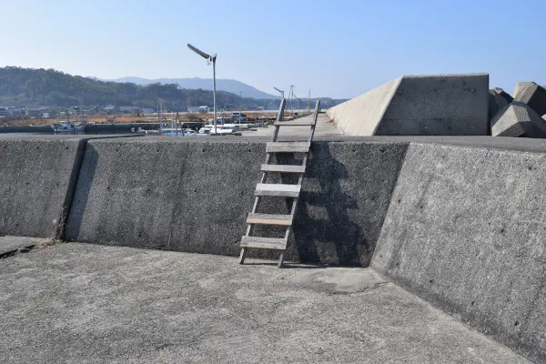 浅野漁港の梯子
