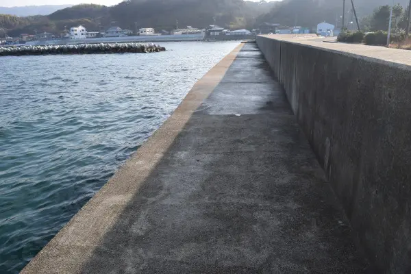 郡家港テラスの写真