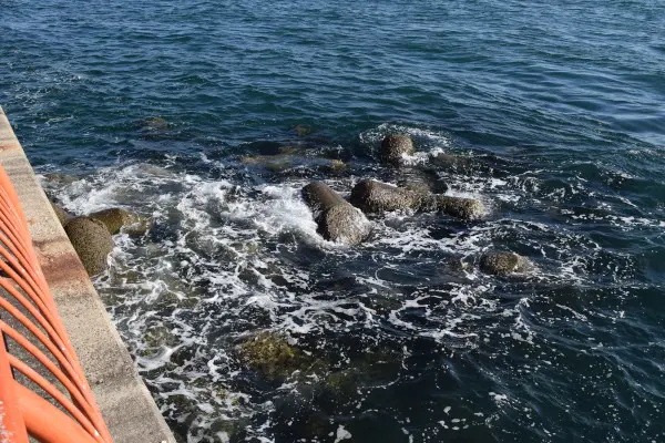 平磯海づり公園の漁礁