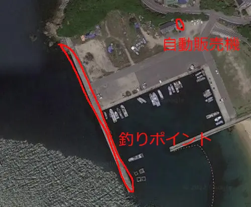 伊毘漁港の航空写真