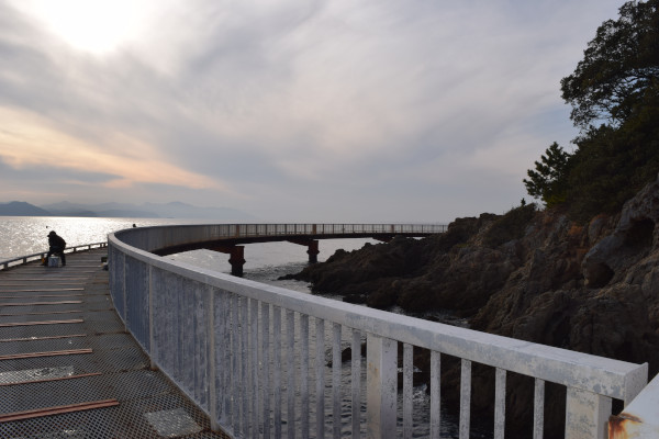 丸山海釣り公園の全景