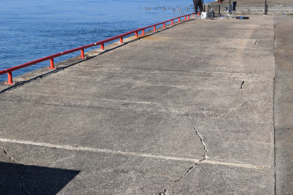 鳴尾浜海釣り公園の足場