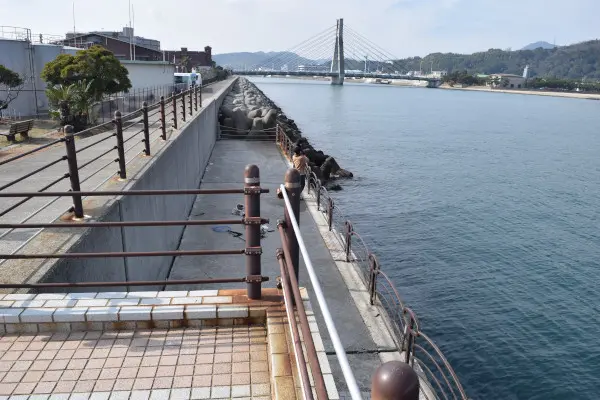 洲本川の釣りポイント