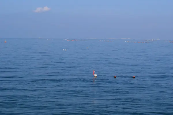富島漁港の沖の仕掛け