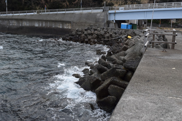 大川漁港の堤防根元