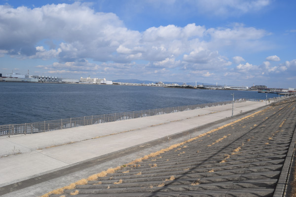 堺浜海とのふれあい広場海釣りテラス