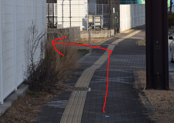 シーサイドコスモ釣り解放区域の道