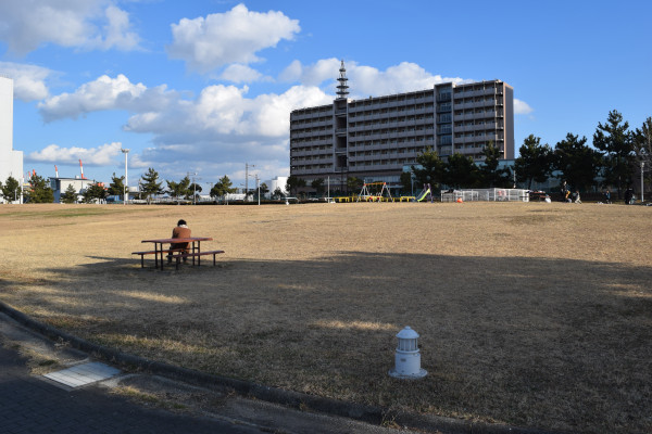 解放区域の公園