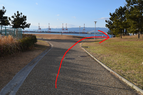 シーサイドコスモ釣り解放区域の道