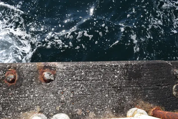 南港魚釣り園護岸足元