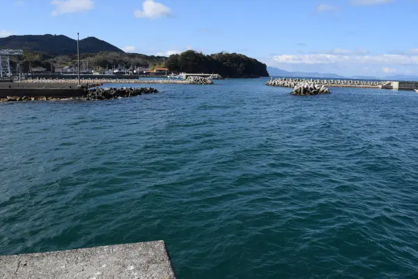 右岸堤防から左岸堤防方面