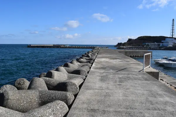左岸堤防の根元から先端