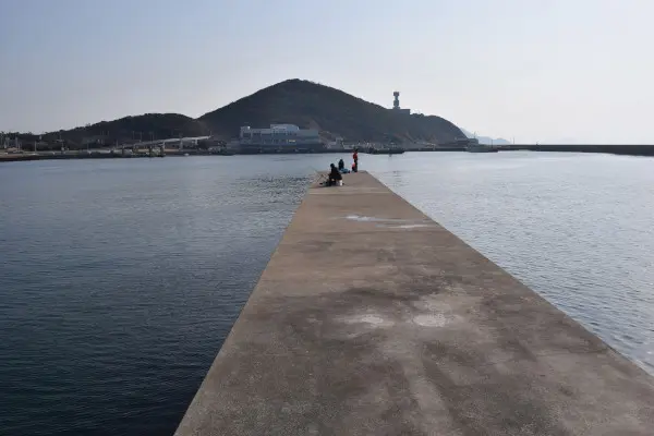 伊良湖港の堤防の分岐