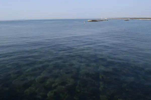 海底にブロックが入った場所