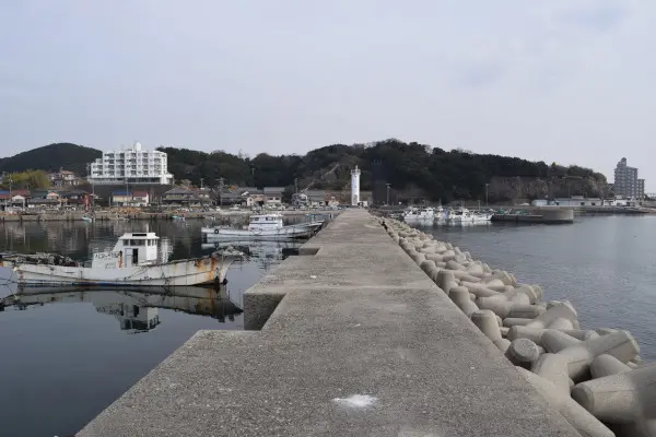 大井漁港