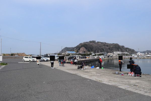 豊浜漁港の釣りポイント