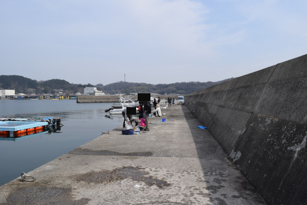 豊浜漁港の釣りポイント港の外側
