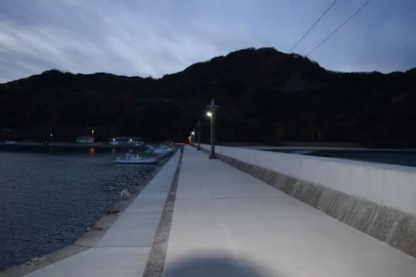 居組漁港の堤防に入った電線