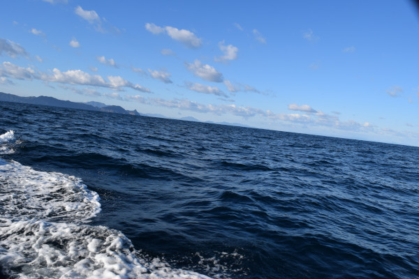 オオグリ付近の海況