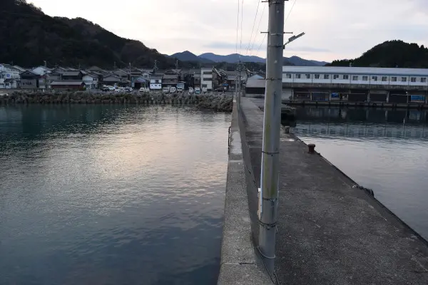 堤防の電線の下