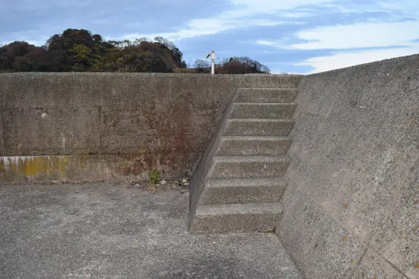 堤防の先端付近