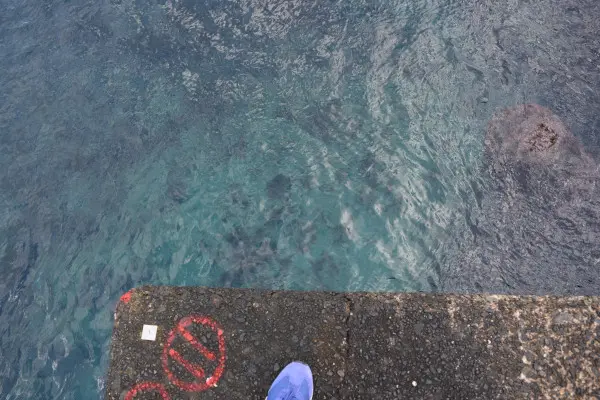 浜坂漁港東堤防先端の足元