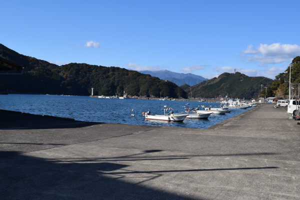 島勝浦漁港内部