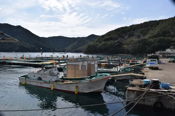 方座浦漁港の海上釣り堀