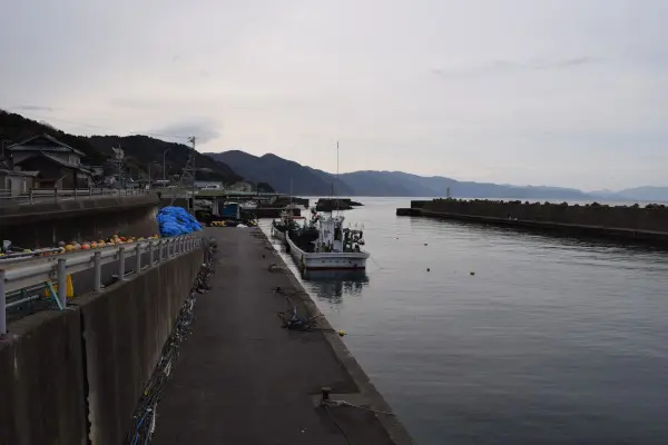 甲楽城漁港の全景