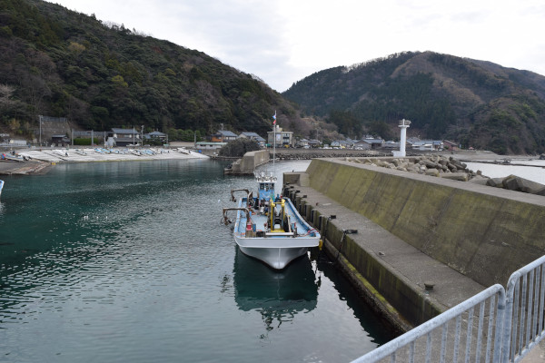 河野漁港の堤防